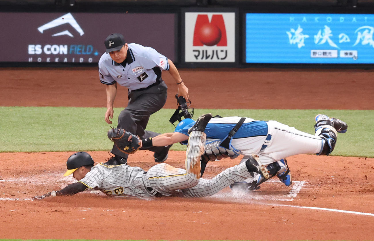 日本ハム対阪神　3回表阪神1死三塁、中野の二ゴロの間に生還を試みるもタッチアウトになる三走島田。捕手伏見（撮影・佐藤翔太）