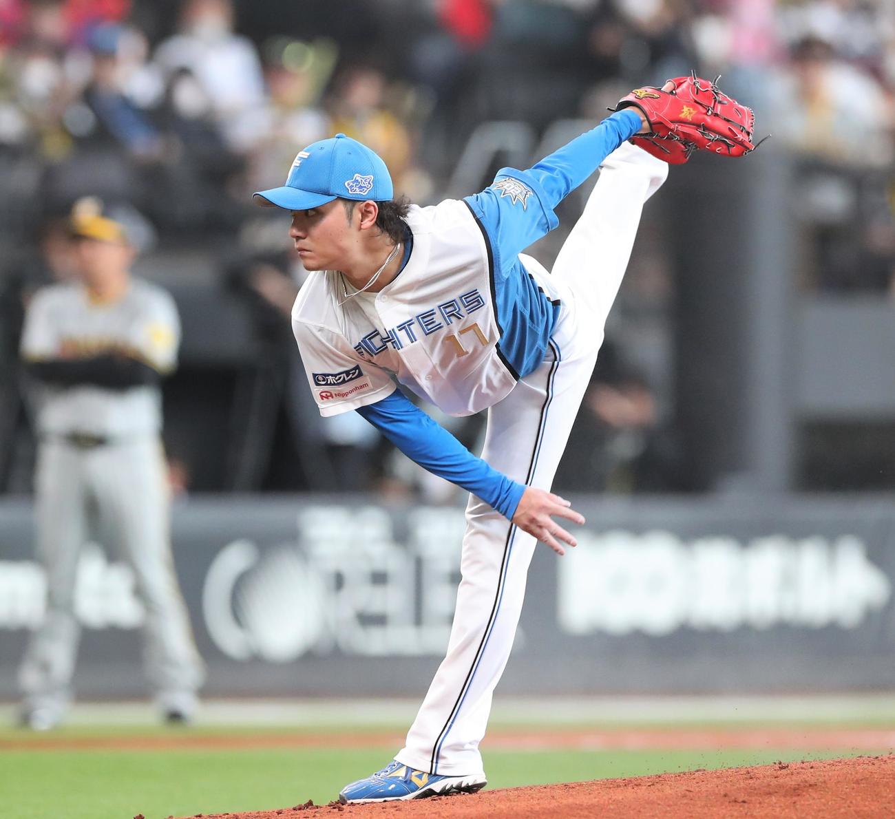 日本ハム対阪神　日本ハム先発の伊藤（撮影・黒川智章）