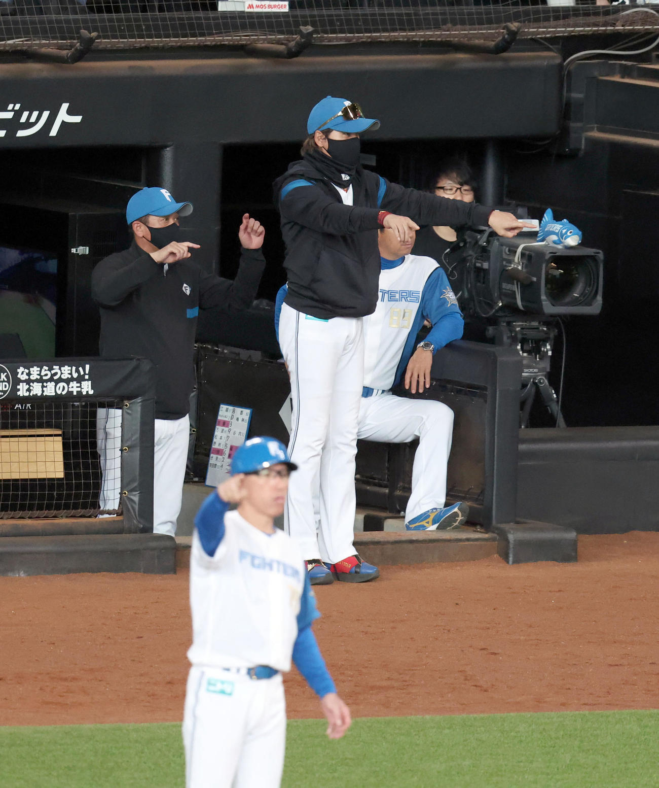 日本ハム対阪神　3回裏日本ハム1死、マルティネスの打球に関してリプレー検証を要求する新庄監督（撮影・佐藤翔太）