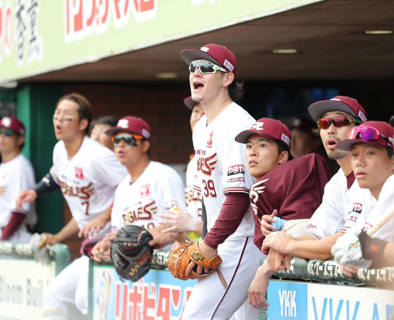 楽天対中日　8回裏、ベンチから戦況を見守る早川（右から3人目）らナイン（撮影・河田真司）