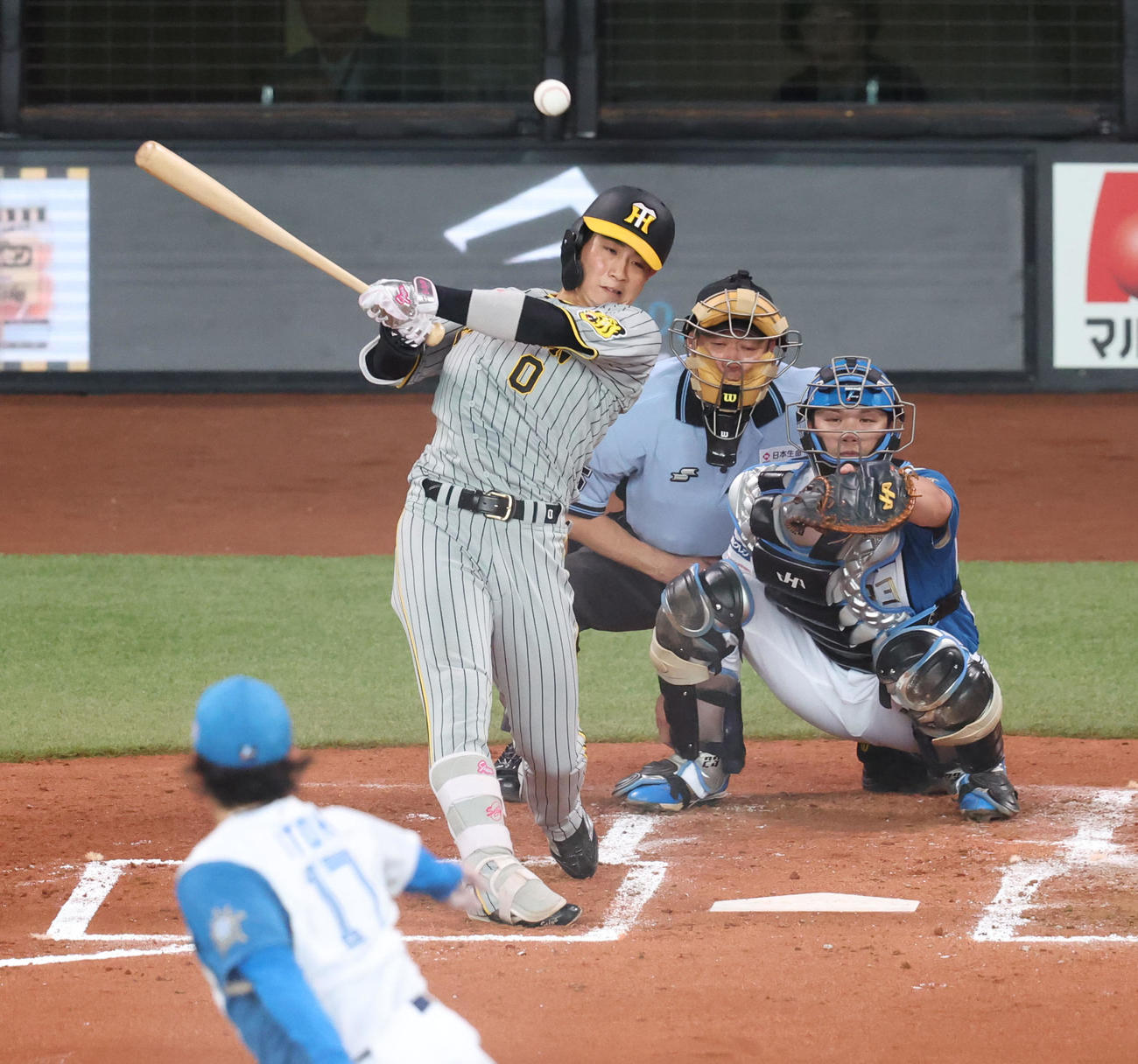 日本ハム対阪神　3回表阪神無死一塁、木浪は中前打を放つ。投手伊藤（撮影・佐藤翔太）
