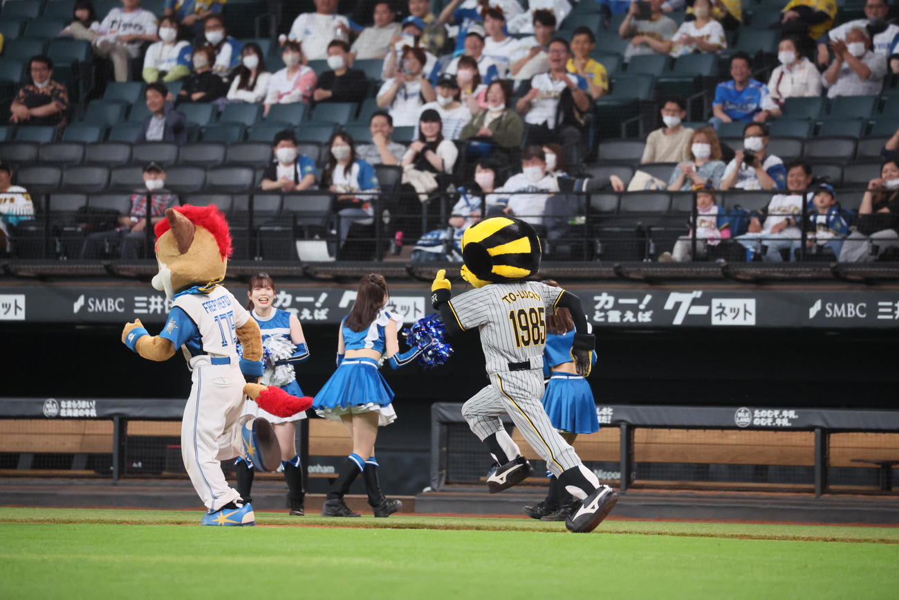 日本ハム対阪神　走るフレップ（左）に少し差がつき始めたか？トラッキー…（撮影・加藤哉）