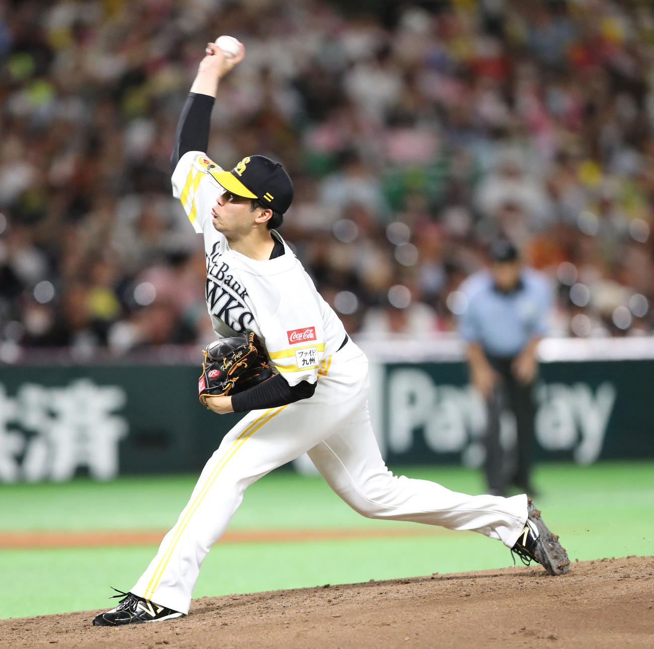 ソフトバンク対巨人　先発・藤井（撮影・梅根麻紀）