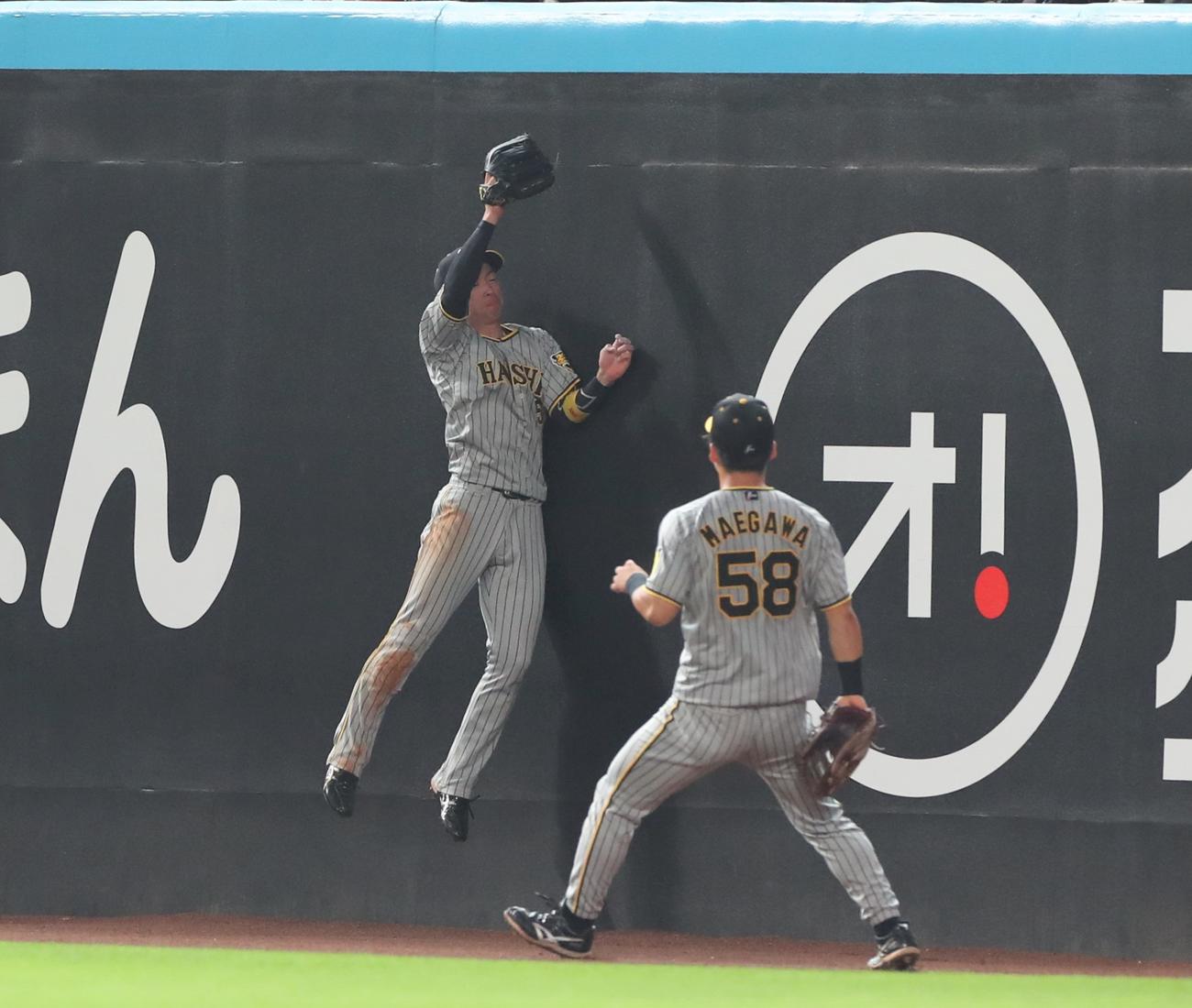 日本ハム対阪神　5回裏日本ハム2死、アルカンタラの打球をジャンピングキャッチする近本（撮影・黒川智章）