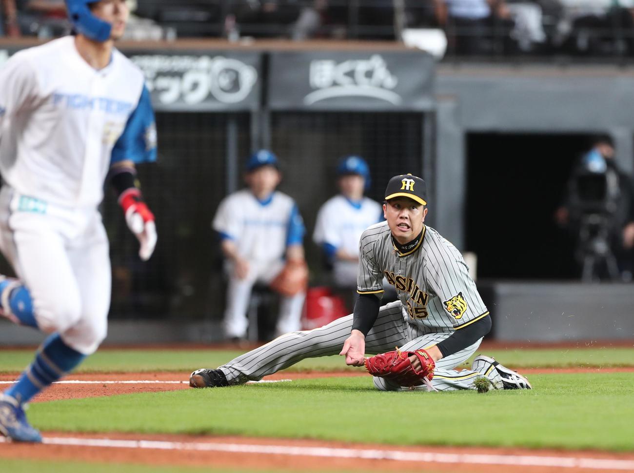日本ハム対阪神　6回裏日本ハム無死一塁、細川のバントした打球を滑り込んで捕球する才木（撮影・黒川智章）