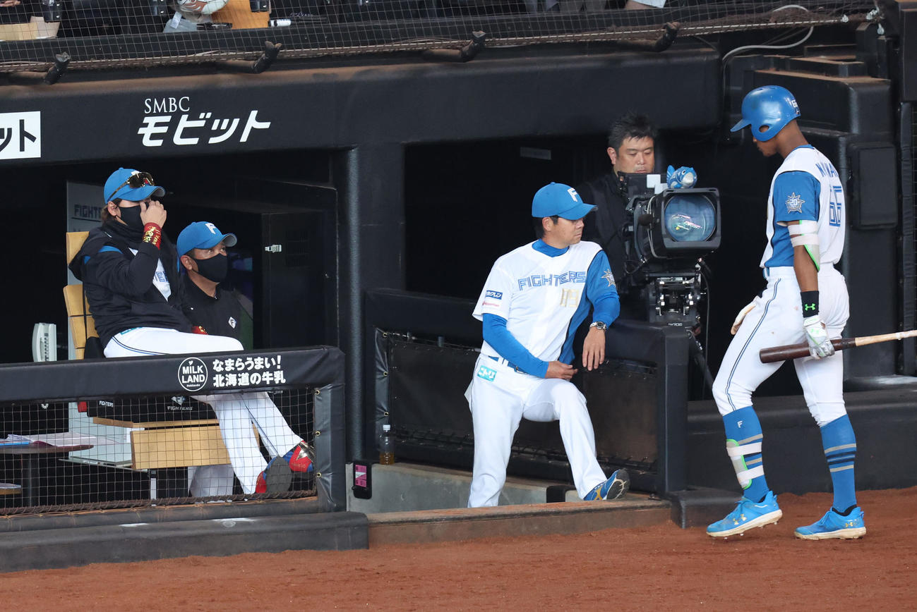 日本ハム対阪神　9回裏日本ハム1死、万波が三振に終わり顔に手をやる新庄監督（左）（撮影・佐藤翔太）