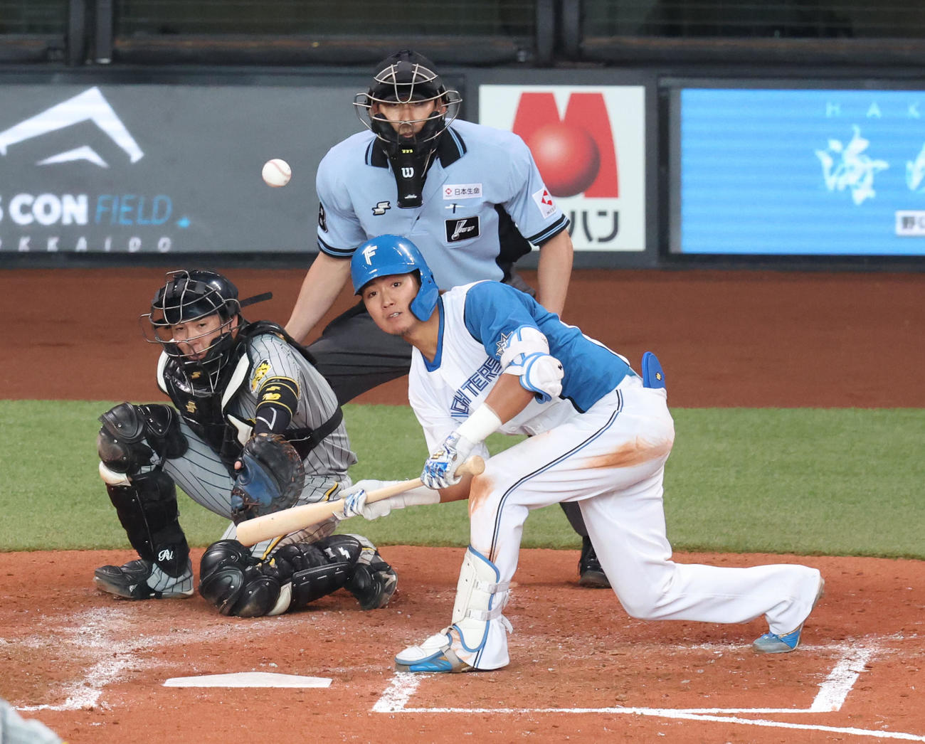 日本ハム対阪神　3回裏日本ハム無死一、二塁、郡は犠打を失敗する（撮影・佐藤翔太）