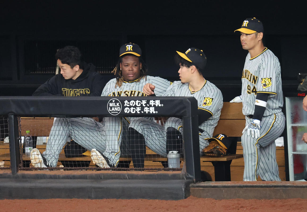 日本ハム対阪神　5回表、ベンチで会話するミエセス（左）と佐藤輝（撮影・佐藤翔太）