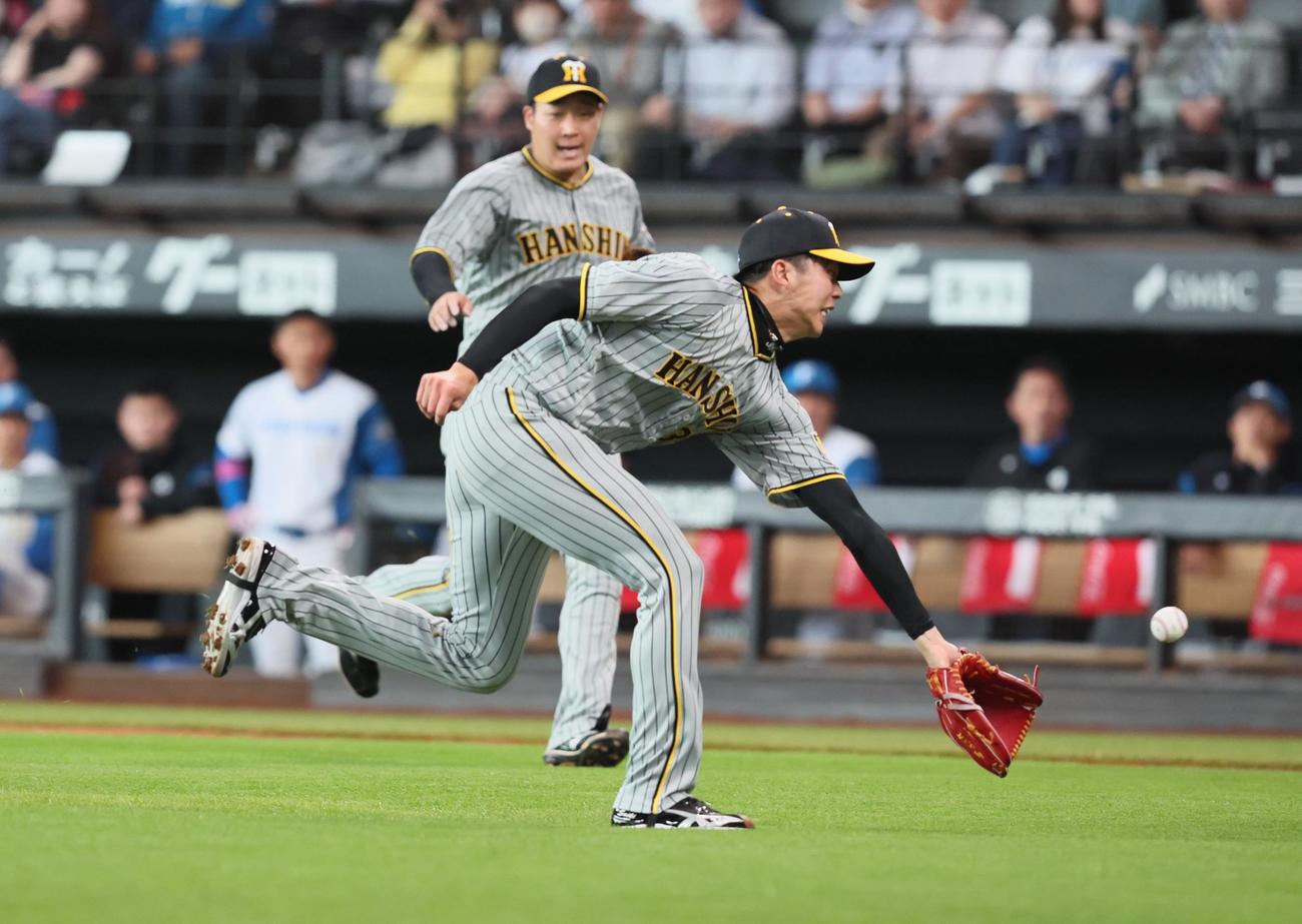 日本ハム対阪神　3回裏日本ハム無死一、二塁、才木は郡のバント飛球を好捕（撮影・加藤哉）