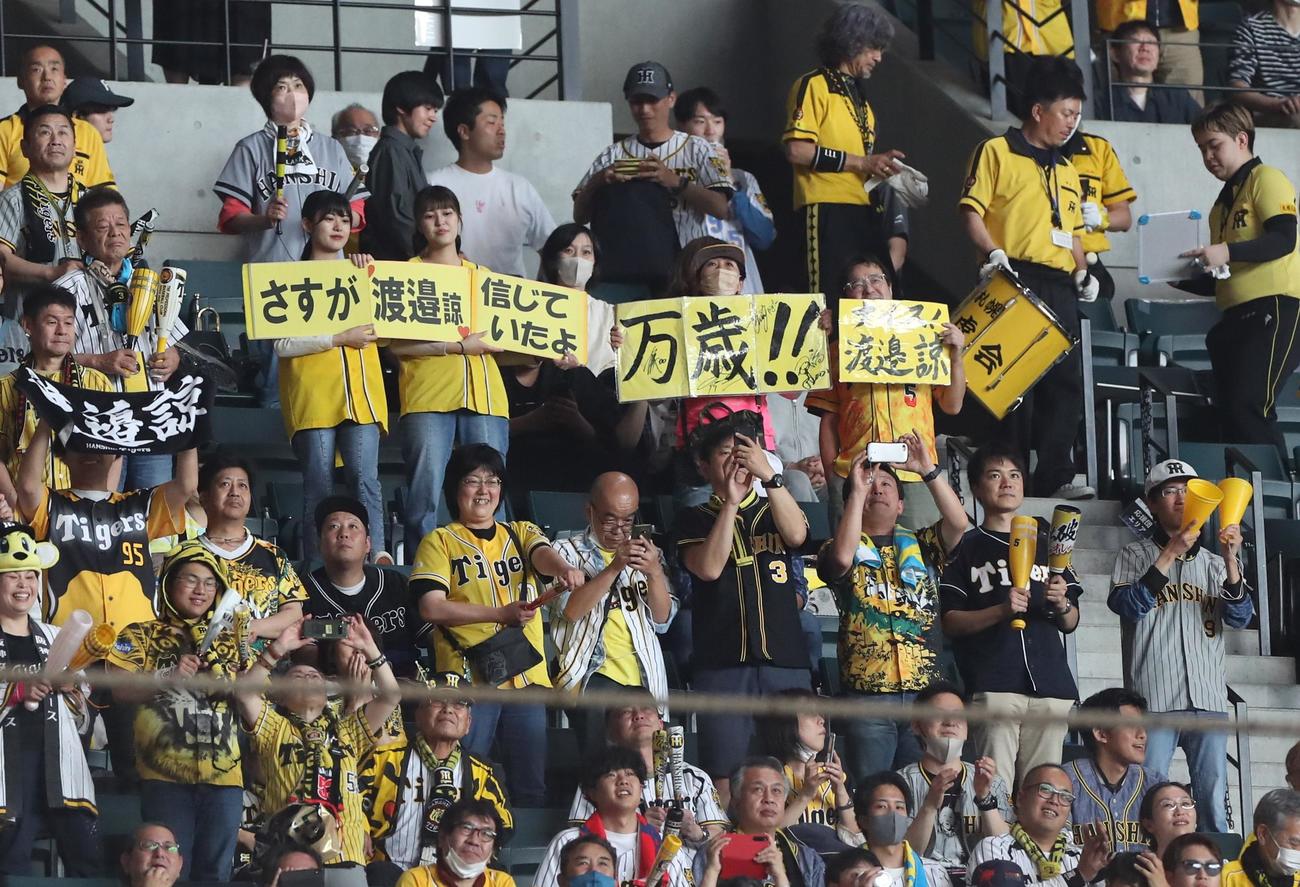 日本ハム対阪神　渡辺諒にボードを出して声援を送る阪神ファン（撮影・黒川智章）