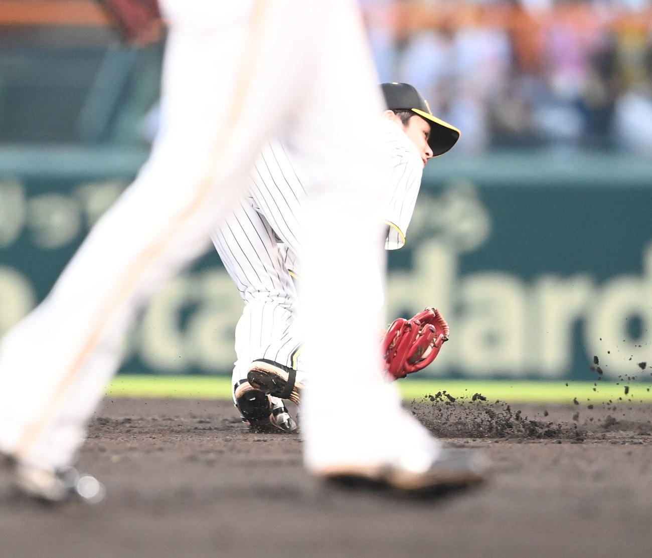 阪神対オリックス　4回表オリックス無死一、三塁、頓宮の三ゴロを渡辺諒は二塁に悪送球、野手は中野（撮影・和賀正仁）