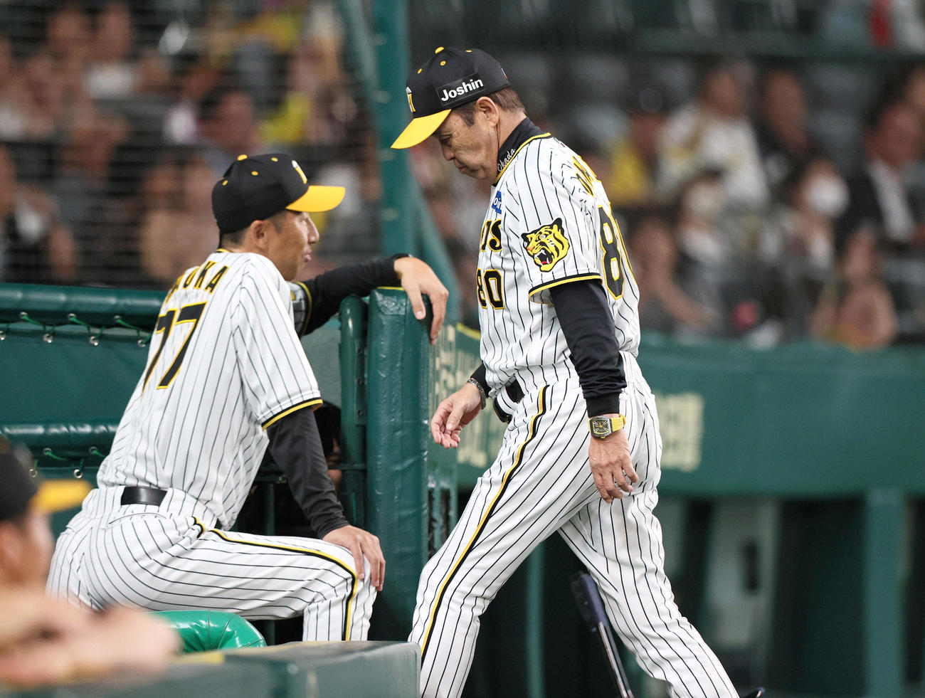 阪神対オリックス　9回裏阪神1死一、二塁、岡田監督は代打佐藤輝を告げベンチに引き揚げる（撮影・上山淳一）