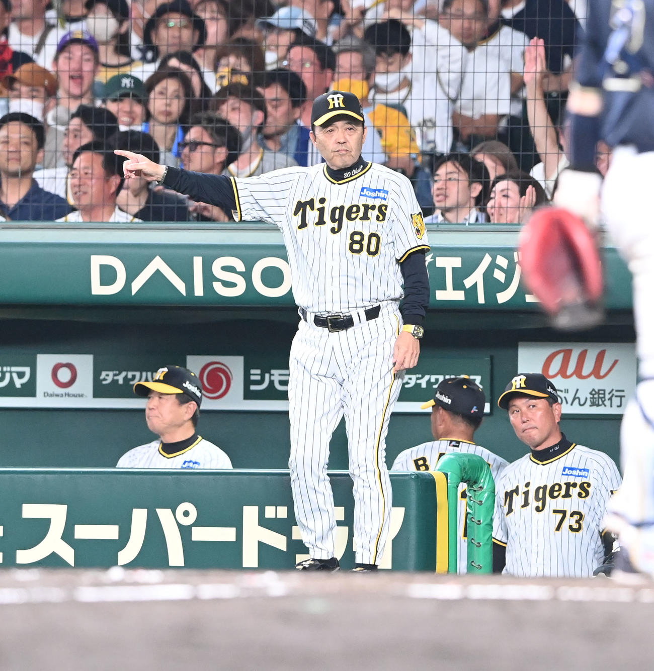 阪神対オリックス　9回、代打攻勢をかける阪神岡田監督（撮影・和賀正仁）