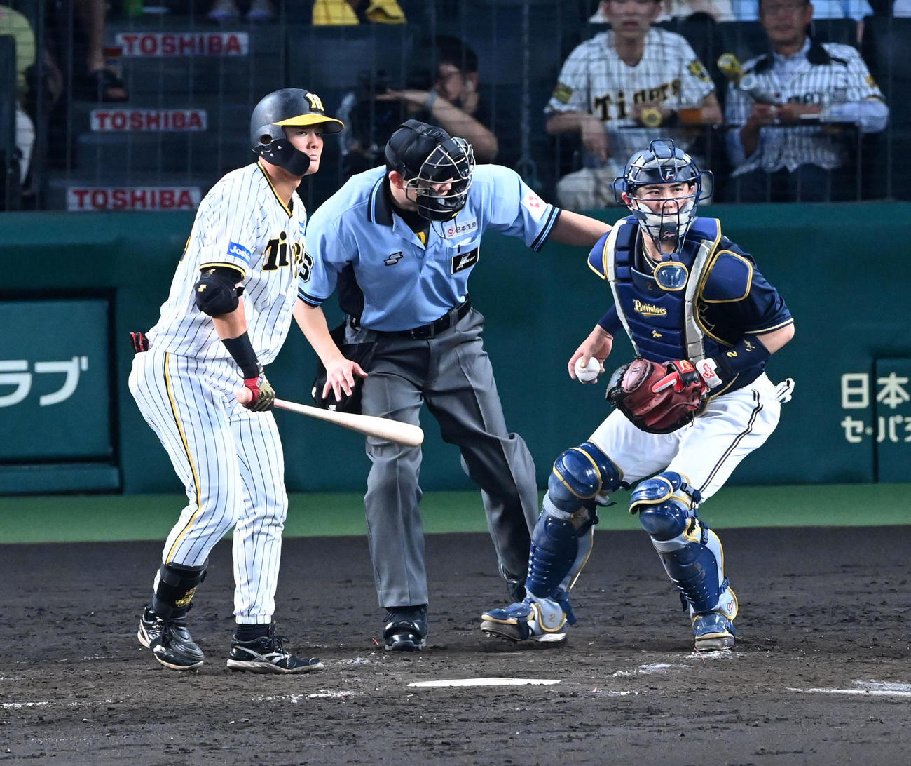 阪神対オリックス　5回裏阪神無死、前川は見逃し三振に倒れる（撮影・前岡正明）