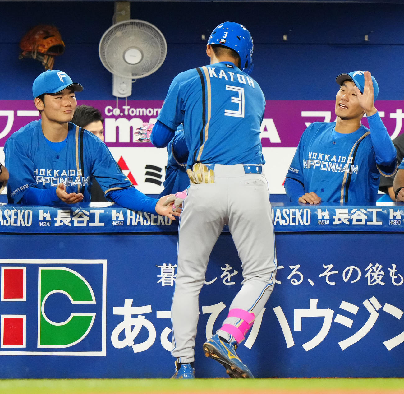 DeNA対日本ハム　5回表日本ハム1死一、三塁、一ゴロの間に1点上げた加藤豪（中央）とタッチを交わす清宮（左）（撮影・江口和貴）