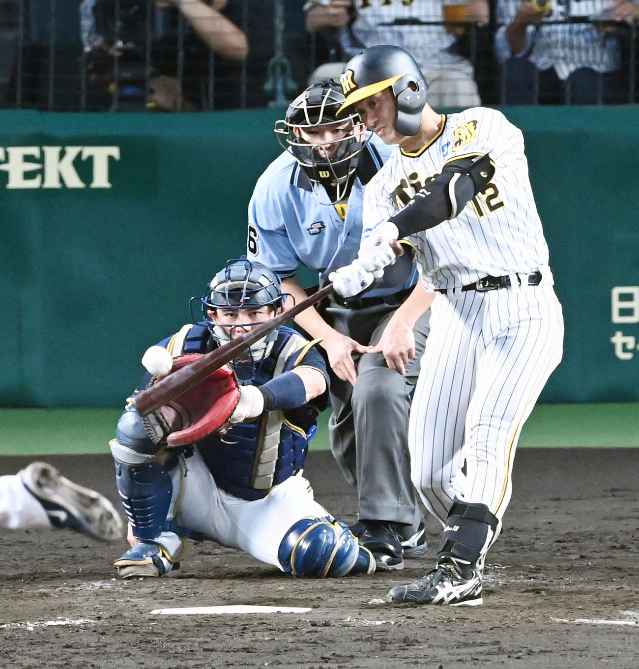 阪神対オリックス　5回裏阪神2死、坂本は中前打を放つ（撮影・前岡正明）