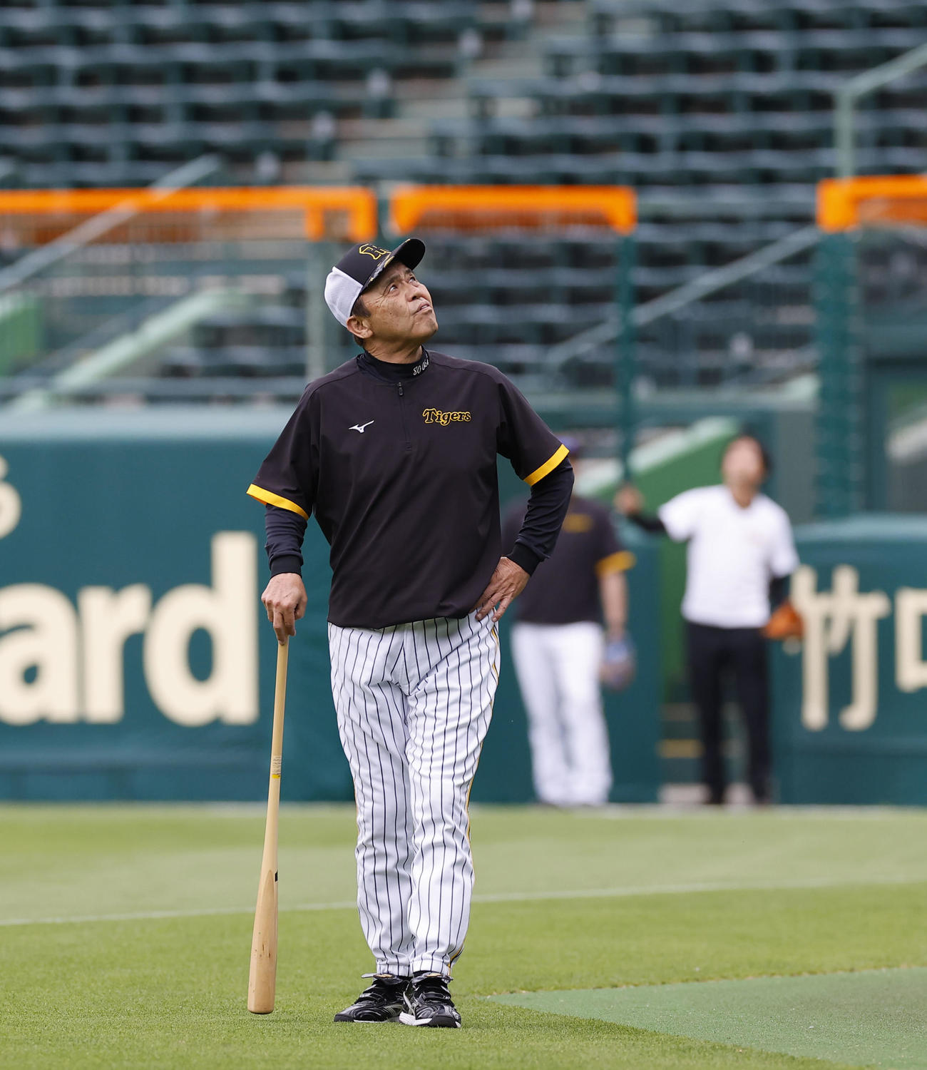 阪神対オリックス　空を見上げながらグラウンド入りする阪神岡田監督（撮影・藤尾明華）