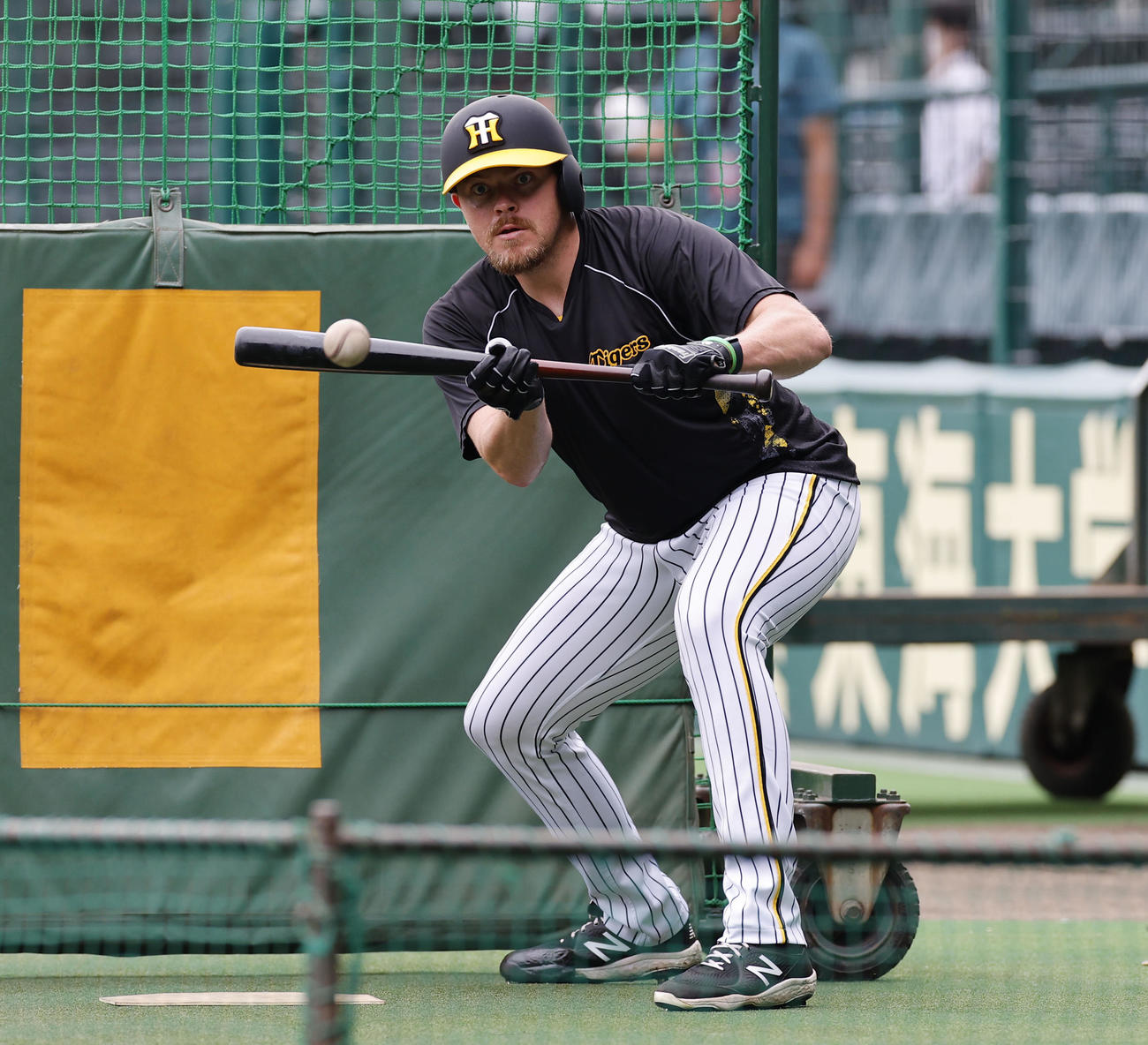 阪神対オリックス　バント練習をする阪神ビーズリー（撮影・藤尾明華）