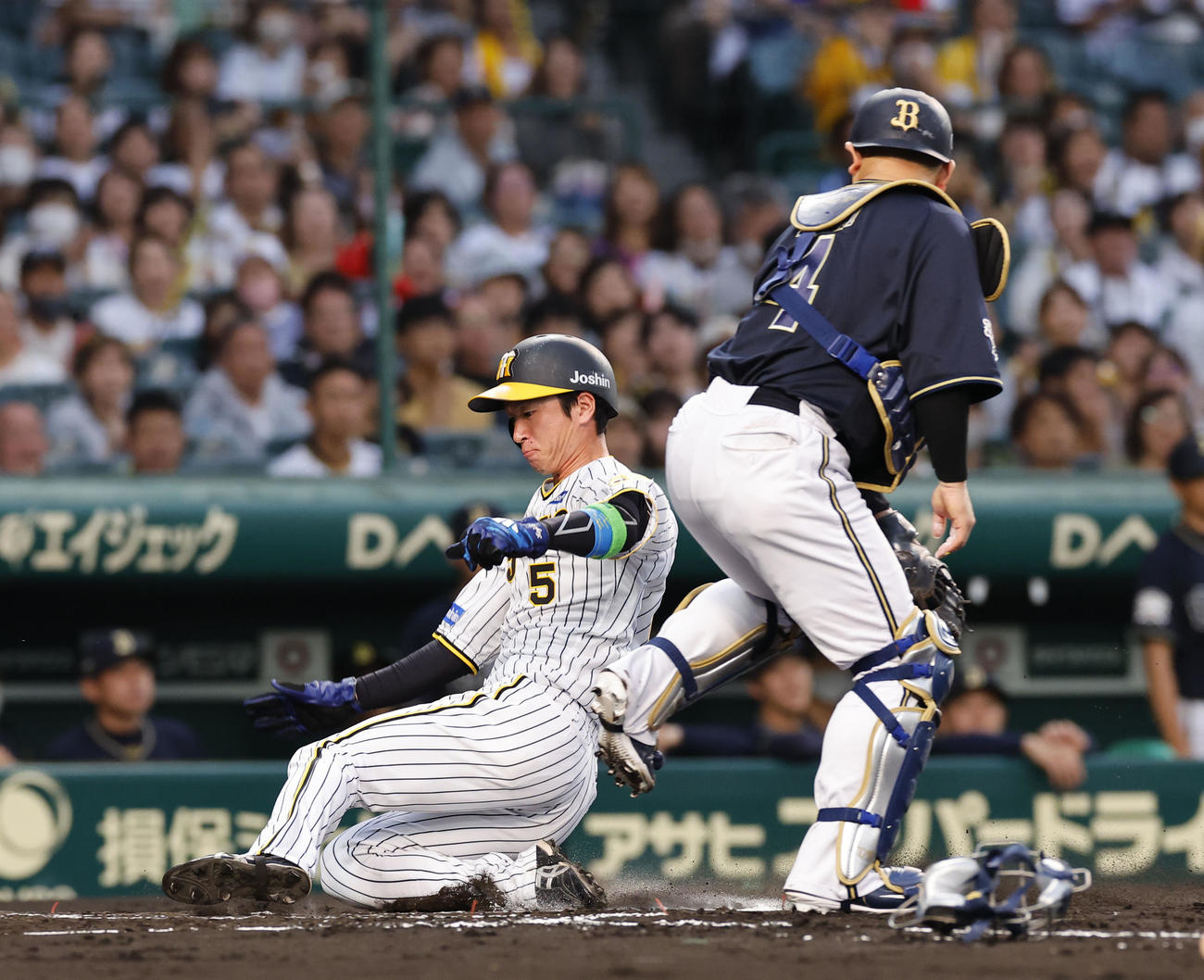 阪神対オリックス　1回裏阪神無死満塁、大山の左犠飛で生還する近本。捕手森（撮影・藤尾明華）