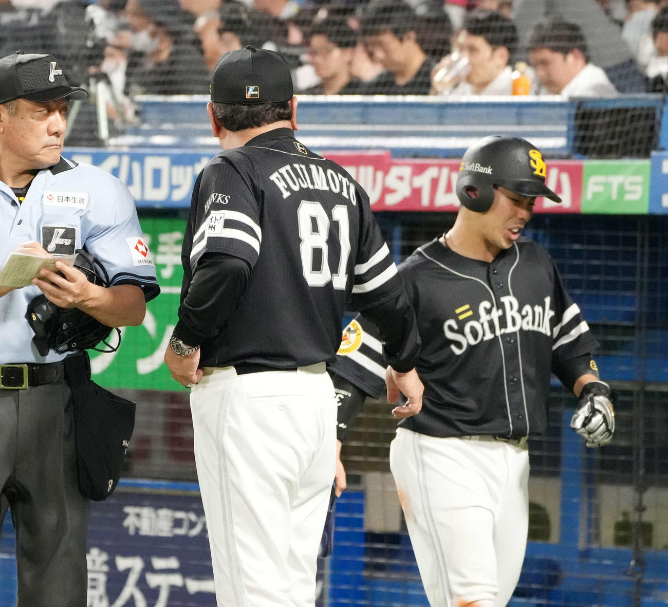ヤクルト対ソフトバンク　6回表の攻撃が終わり顔をしかめてベンチへ引き揚げる近藤（右）を見つめるソフトバンク藤本監督（撮影・小沢裕）