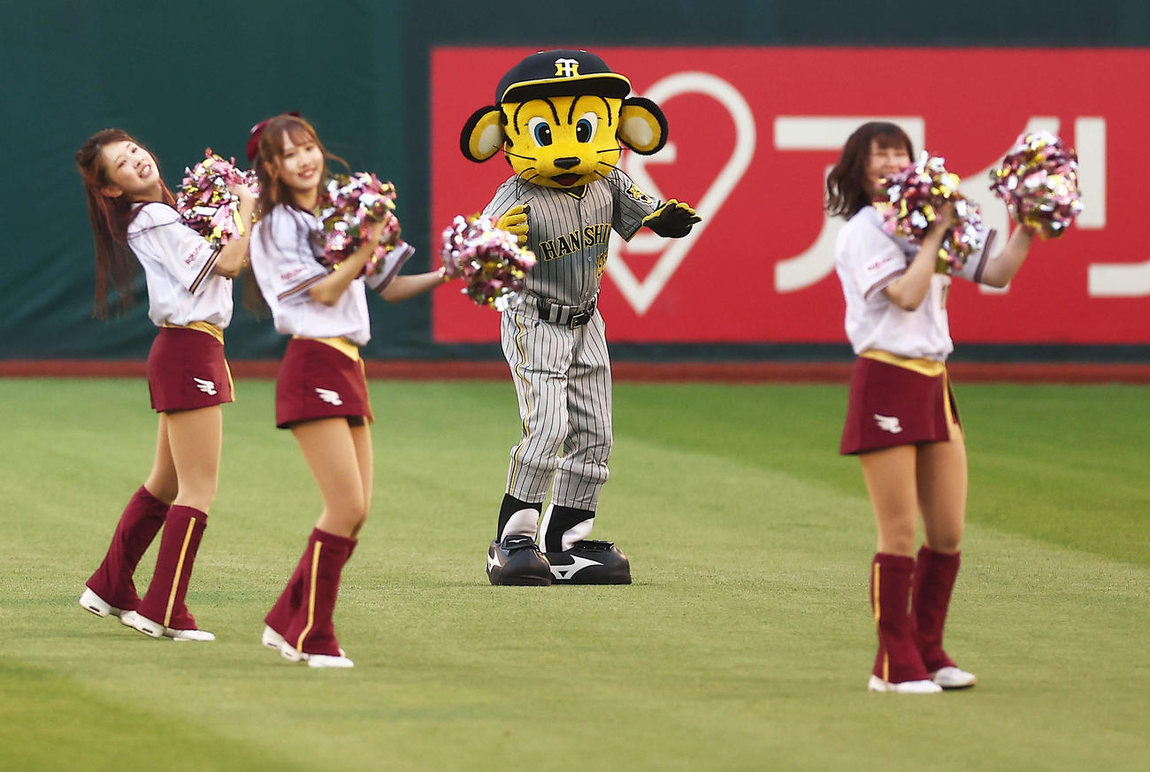 楽天対阪神　試合開始前、東北ゴールデンエンジェルスのチアと踊るトラッキー（中央）（2023年6月8日撮影）