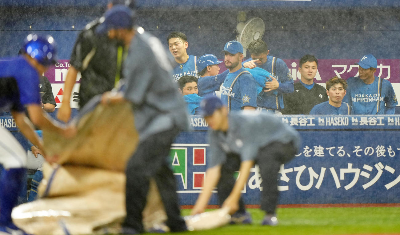 DeNA対日本ハム　2回裏終了後、中断しベンチで待つ日本ハムの選手たち（撮影・江口和貴）