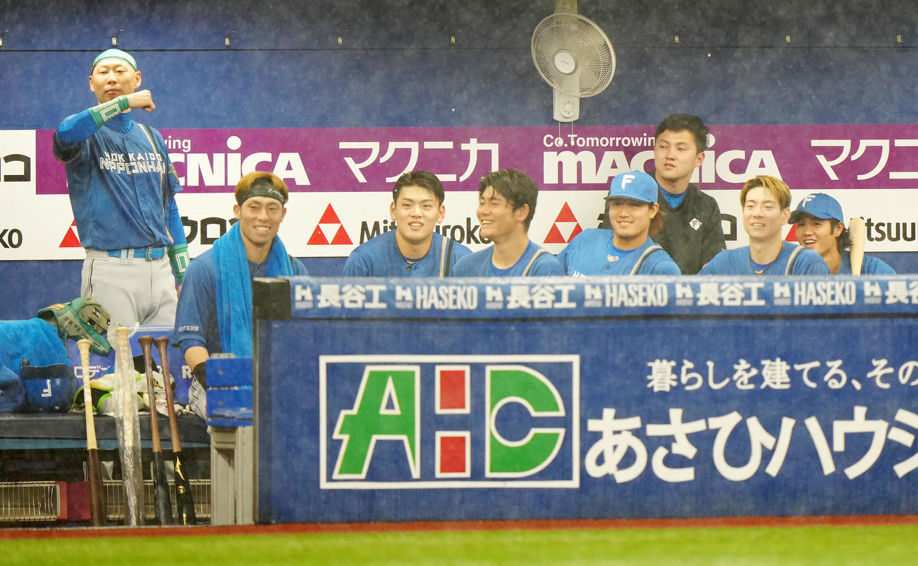 DeNA対日本ハム　2回裏終了後の中断中、DeNAベンチに向かって、デスターシャポーズを見せる日本ハム森本外野守備走塁コーチ（左端）（撮影・江口和貴）