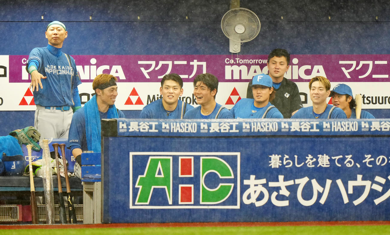 DeNA対日本ハム　2回裏終了後の中断中、DeNAベンチに向かって、デスターシャポーズを見せる日本ハム森本外野守備走塁コーチ（左端）（撮影・江口和貴）