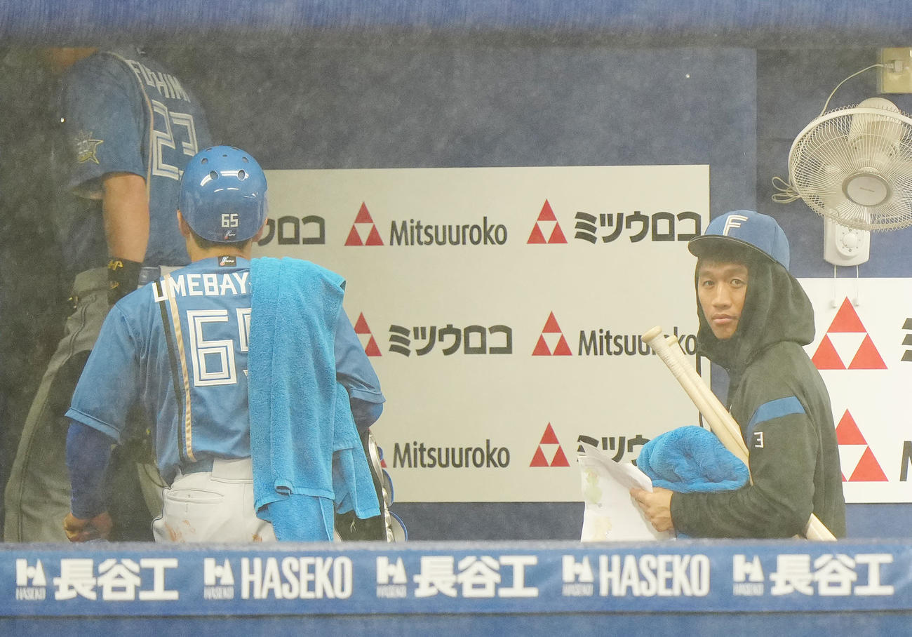 DeNA対日本ハム　試合中止後、引き揚げる日本ハム加藤豪（右）（撮影・江口和貴）