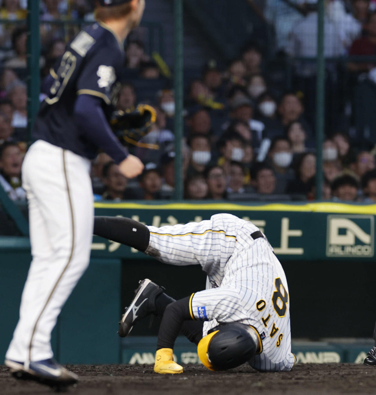 阪神対オリックス　4回裏阪神無死一、三塁、梅野の投前スクイズで佐藤輝（右）が本塁を狙うもアウトになる（撮影・藤尾明華）