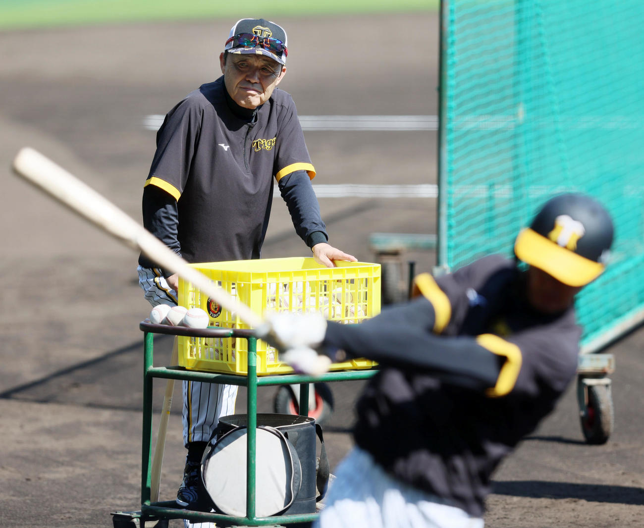 阪神対ソフトバンク　ナインの練習を見つめる岡田監督（撮影・加藤哉）