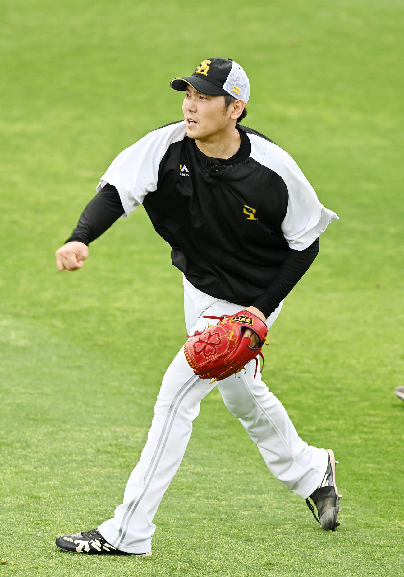 阪神対ソフトバンク　キャッチボールを行うソフトバンク石川（撮影・前岡正明）