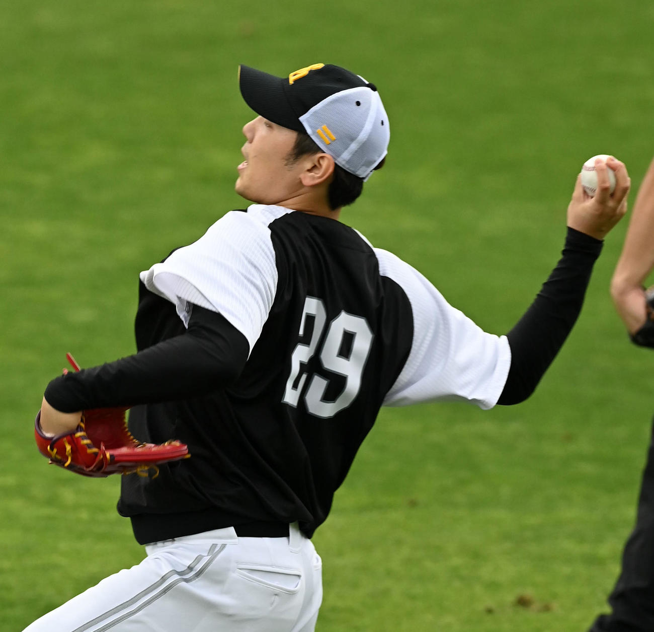 阪神対ソフトバンク　キャッチボールを行うソフトバンク石川（撮影・前岡正明）