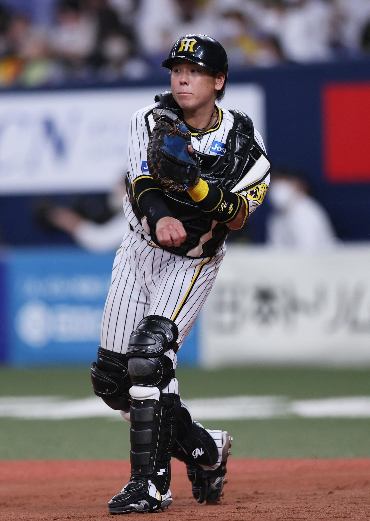 阪神梅野隆太郎