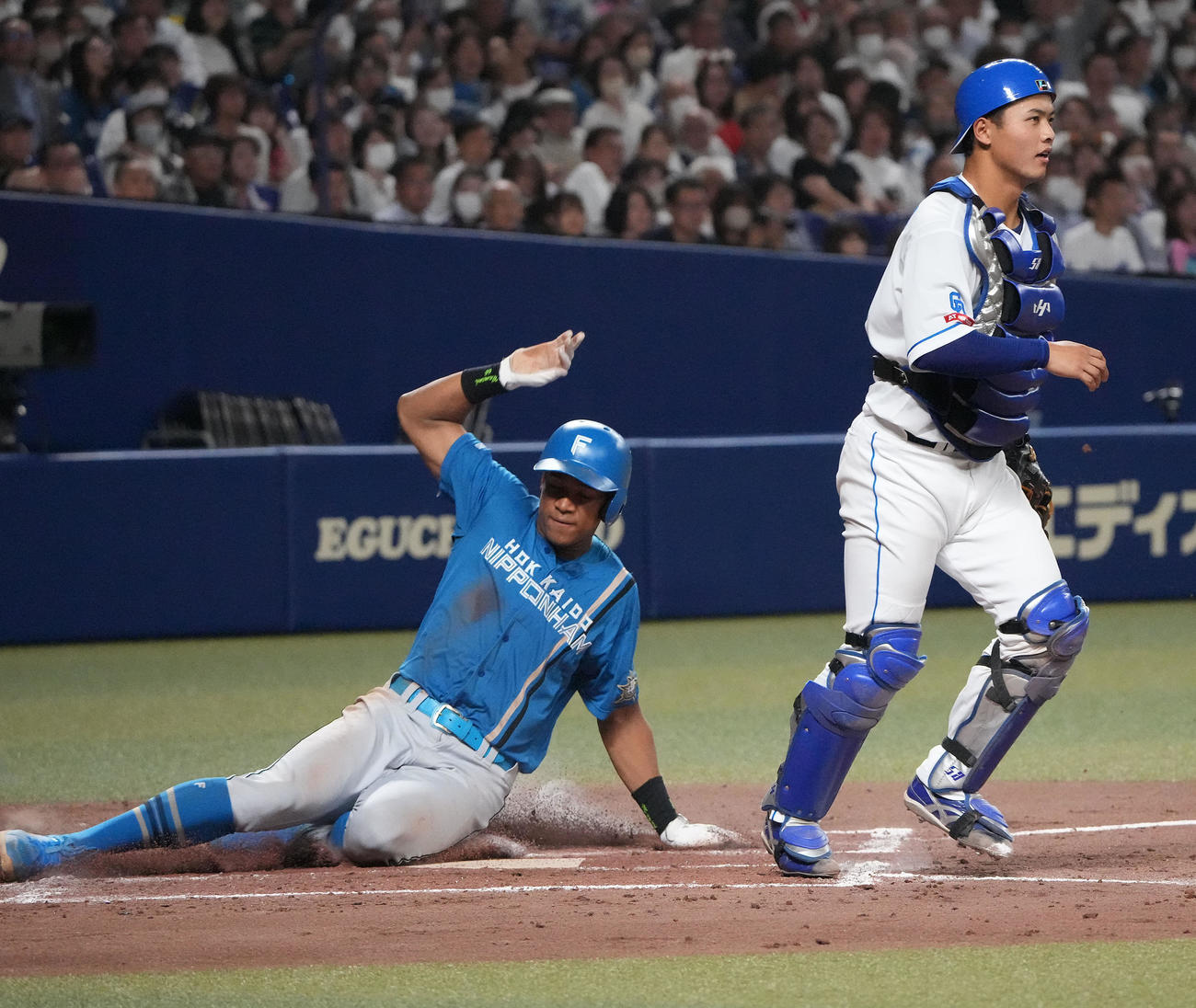 中日対日本ハム　4回表日本ハム2死一、三塁、一走が一、二塁間で挟まれる間に三塁から生還する万波（左）捕手は石橋（撮影・森本幸一）