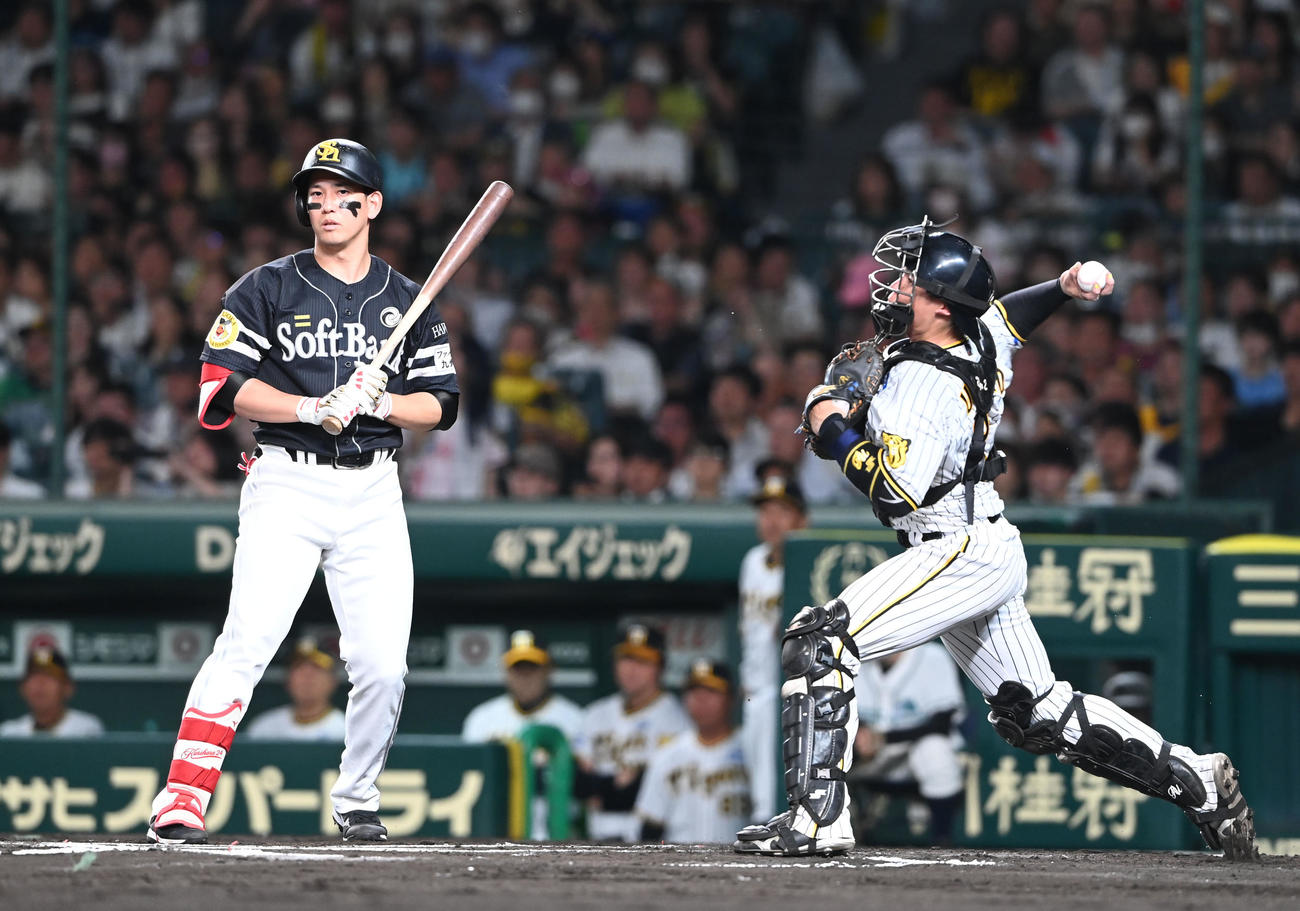 阪神対ソフトバンク　6回表ソフトバンク2死一塁、周東の二盗を阻止する捕手梅野（撮影・和賀正仁）