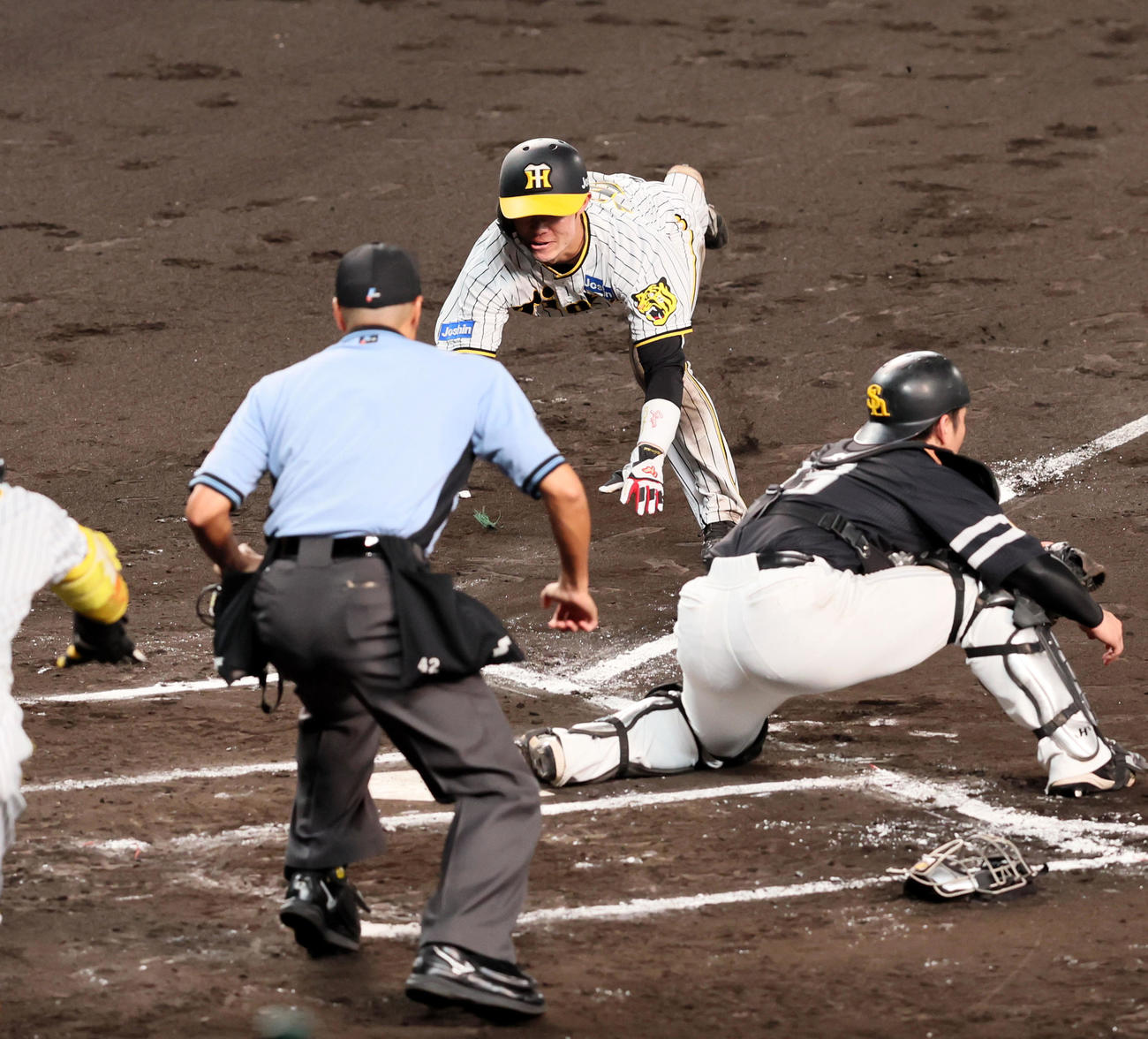 阪神対ソフトバンク　6回裏阪神2死一塁、代打原口の中越え適時二塁打で生還する一塁走者中野（撮影・加藤哉）