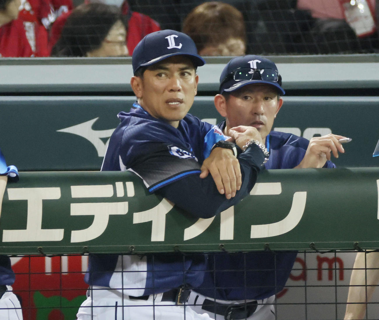広島対西武　8回裏広島、ベンチの西武松井監督（撮影・加藤孝規）