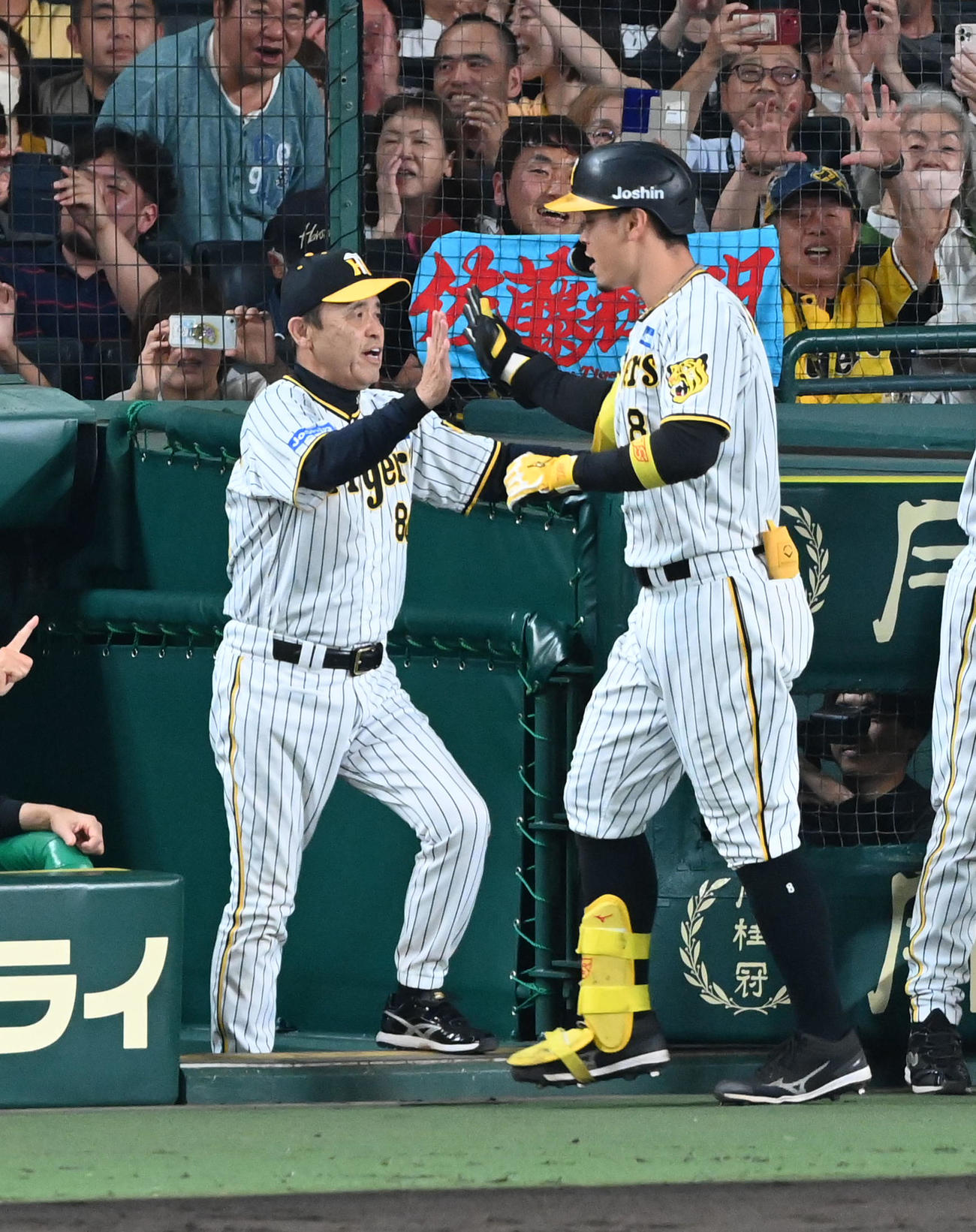 阪神対ソフトバンク　6回裏阪神2死二塁、右越え2点本塁打を放った佐藤輝（右）を迎える岡田監督（撮影・前岡正明）