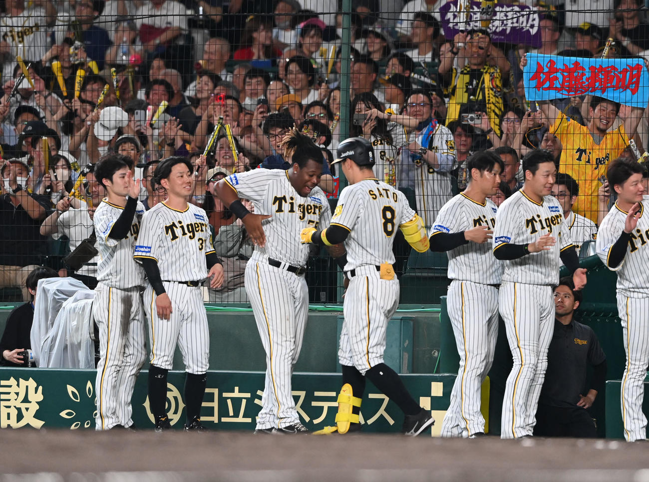 阪神対ソフトバンク　6回裏阪神2死二塁、右越えに2点本塁打を放った佐藤輝はナインの出迎えを受ける（撮影・和賀正仁）