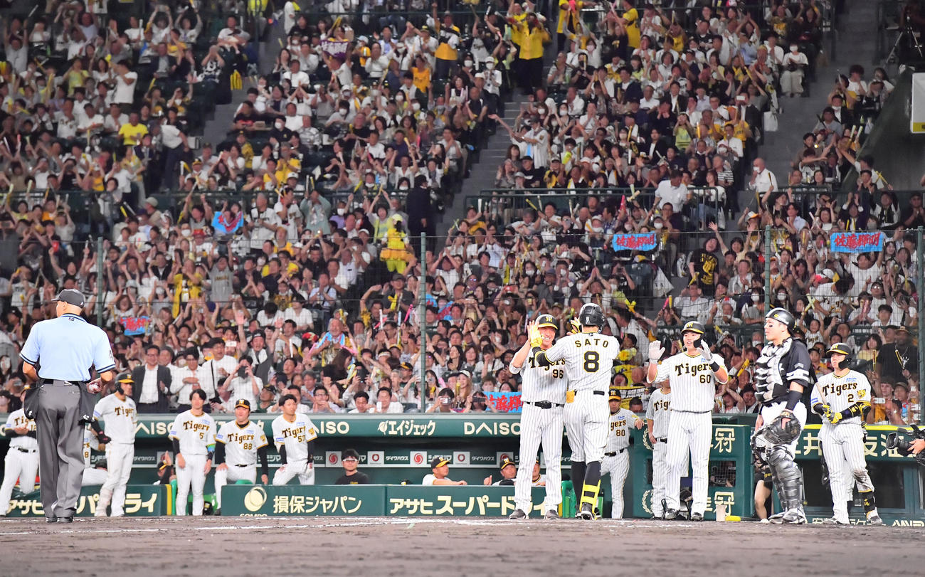 阪神対ソフトバンク　6回裏阪神2死二塁、右越えに2点本塁打を放った佐藤輝はナインの出迎えを受ける（撮影・和賀正仁）