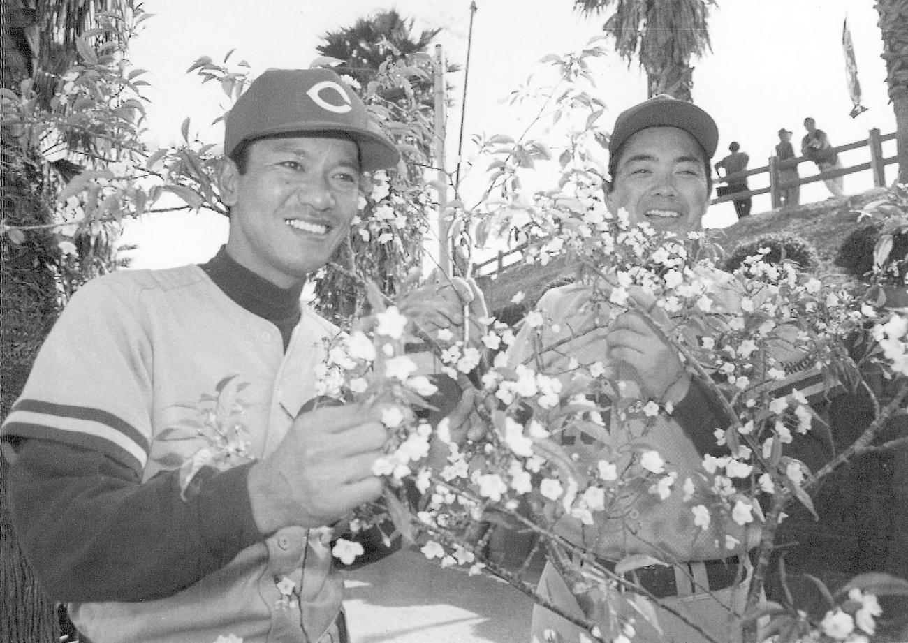 92年2月、日南キャンプを打ち上げ大野と梅の花を手に笑顔を見せる北別府さん