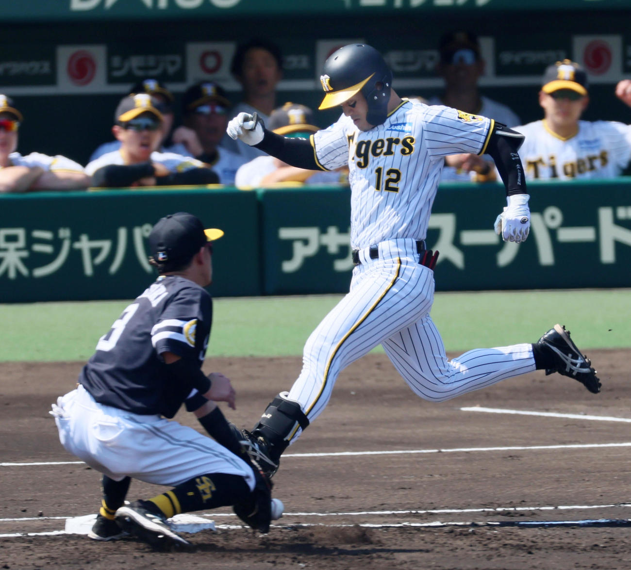阪神対ソフトバンク　2回裏阪神1死一、三塁、坂本は一塁線にスクイズバントを決める（撮影・加藤哉）