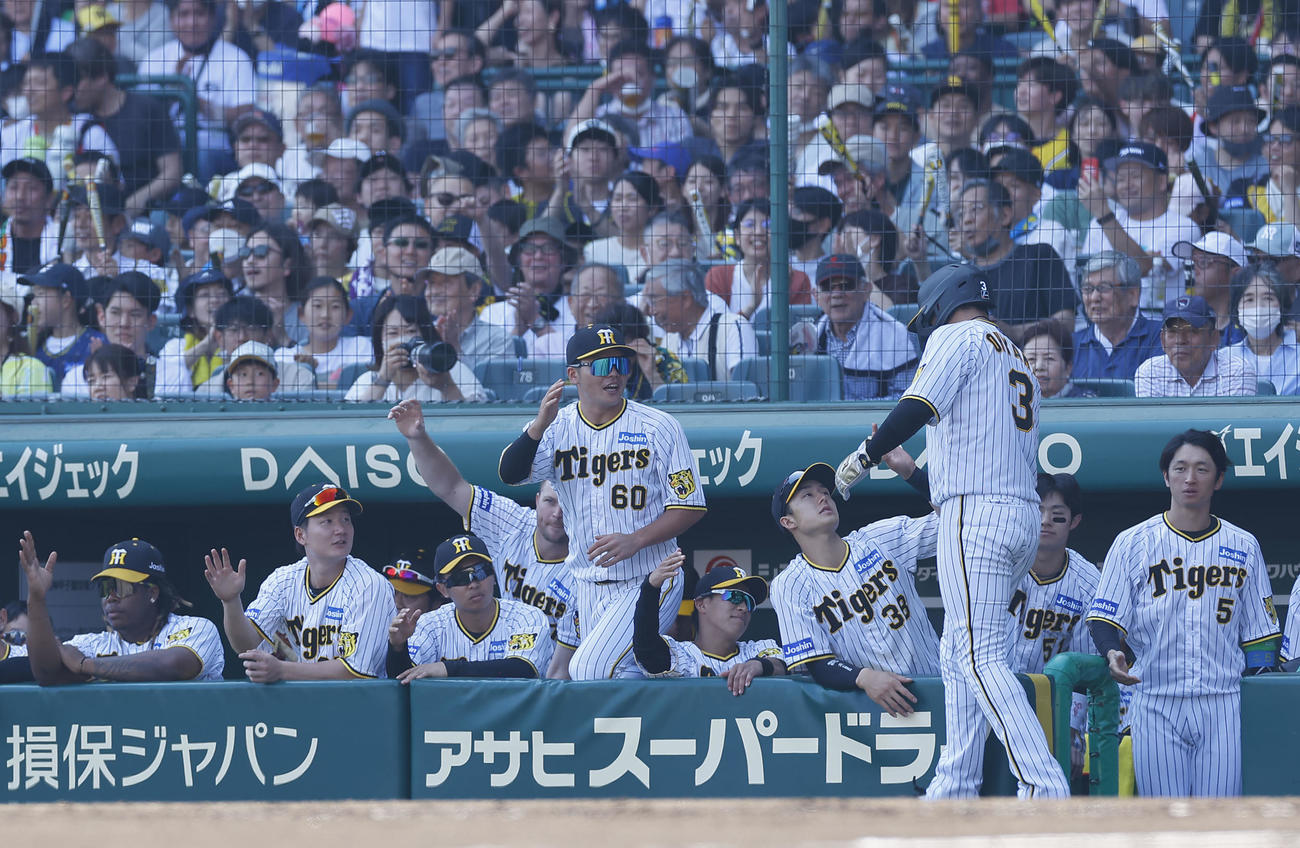 阪神対ソフトバンク　4回裏阪神1死一、三塁、坂本の適時二塁打で生還した大山悠輔を出迎える阪神ナイン（撮影・藤尾明華）