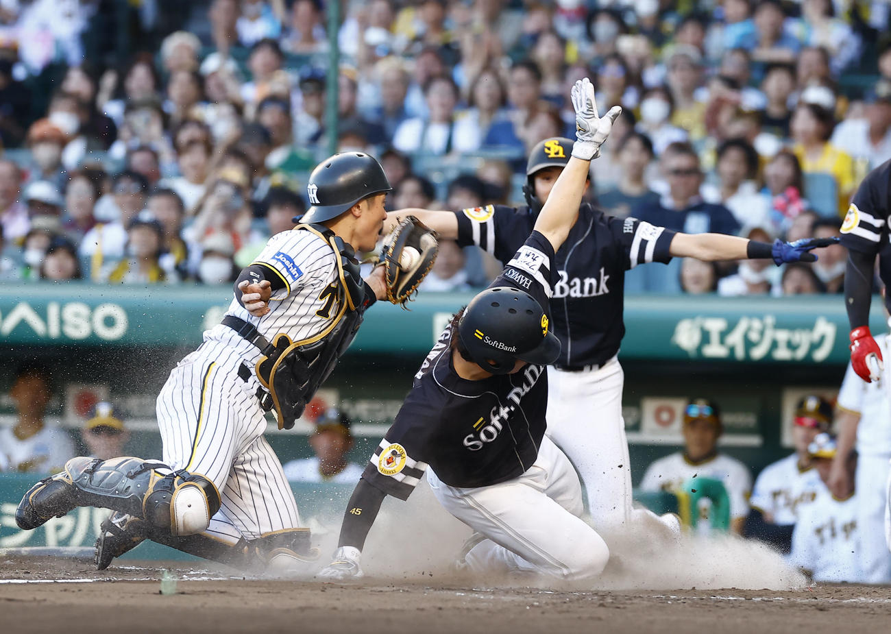 阪神対ソフトバンク　9回表ソフトバンク2死一、二塁、中村晃の左前2点適時打で勝ち越しのホームに滑り込む代走谷川原。捕手坂本（撮影・藤尾明華）