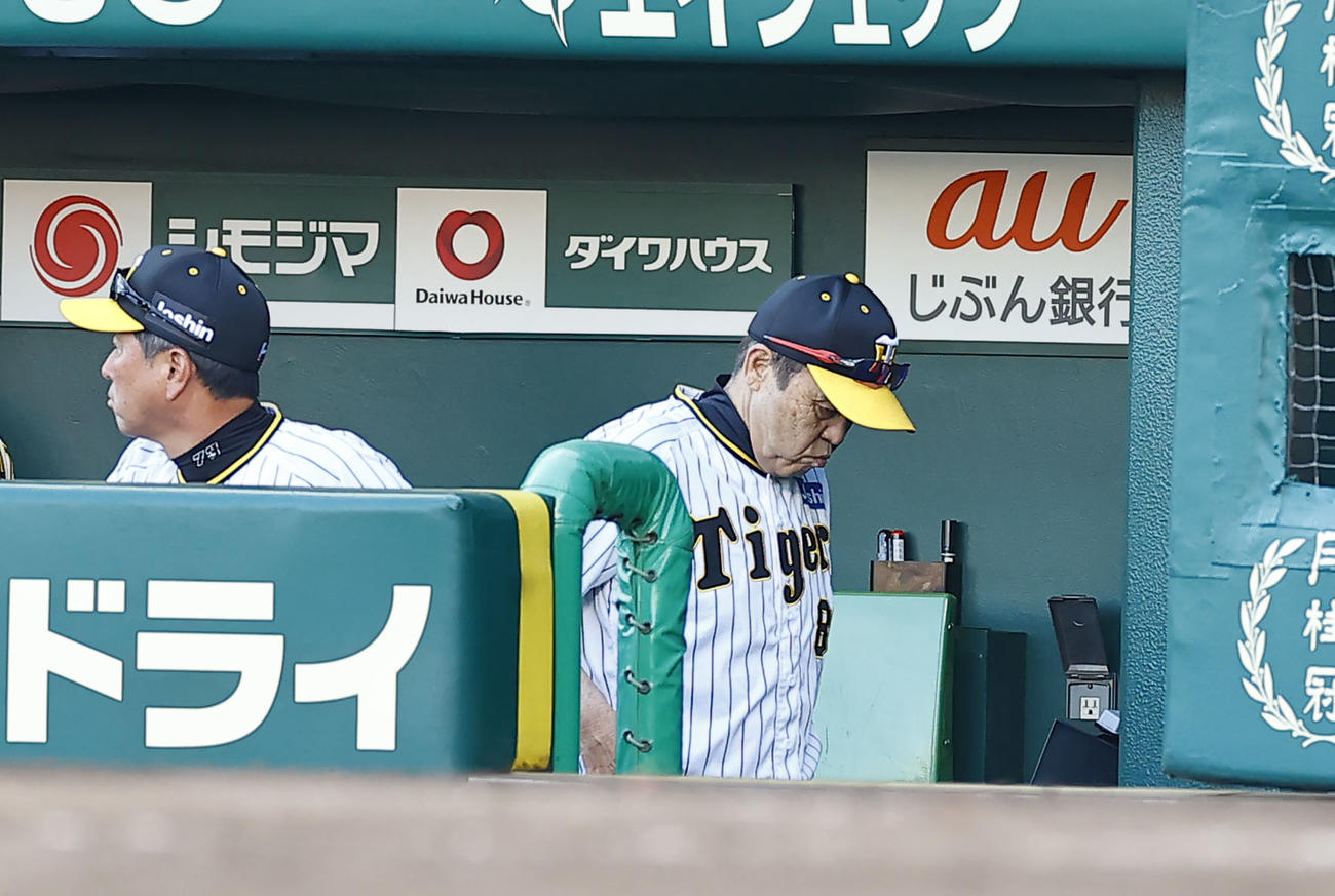 阪神対ソフトバンク　9回、ベンチでうつむく阪神岡田監督（撮影・藤尾明華）