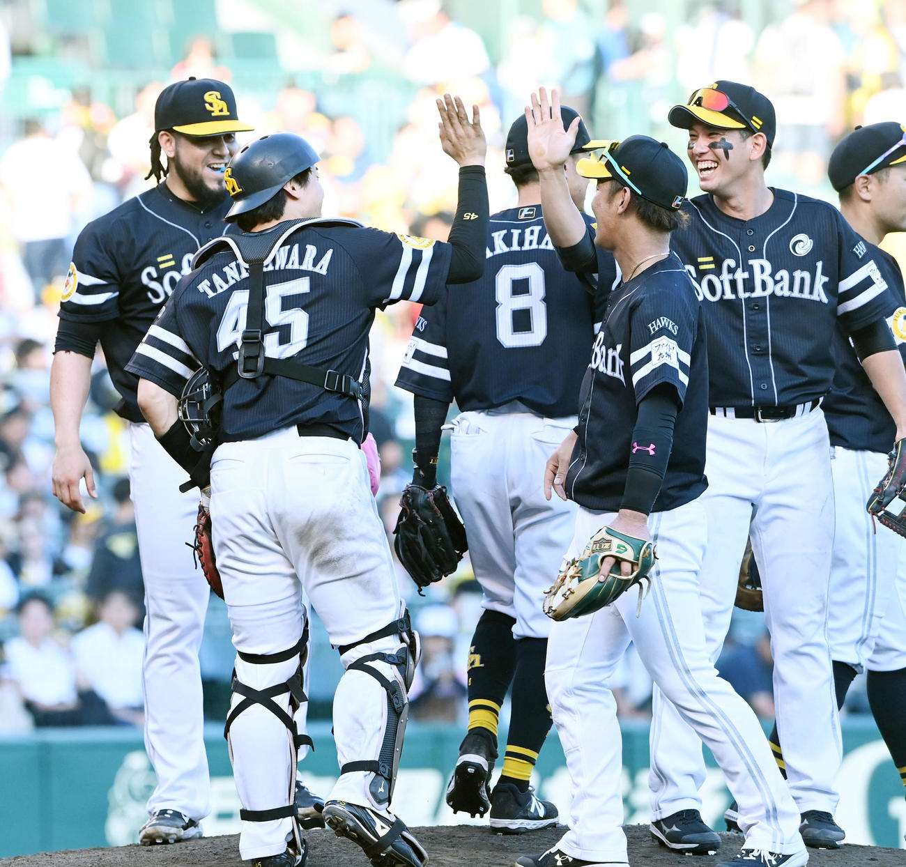阪神対ソフトバンク　阪神に逆転勝ち、喜ぶソフトバンクナイン（撮影・前岡正明）