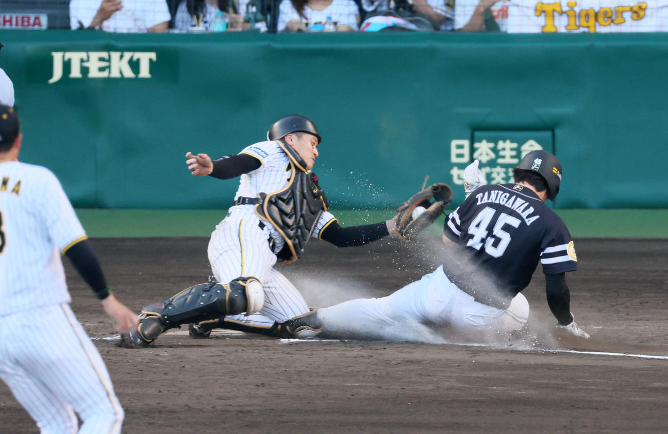 阪神対ソフトバンク　9回表ソフトバンク2死一、二塁、一塁走者代走谷川原は中村晃の左適時二塁打で本塁に激走し生還。捕手は坂本（撮影・加藤哉）
