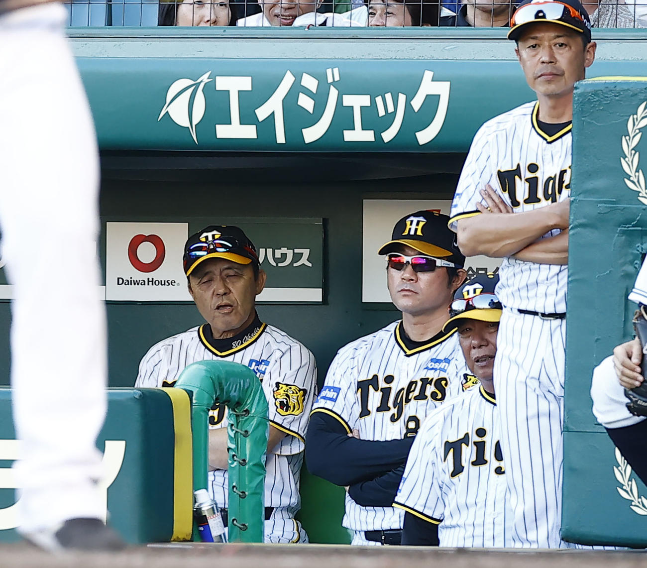 阪神対ソフトバンク　9回に逆転を許し、ベンチで渋い表情を見せる阪神岡田監督（左）（撮影・藤尾明華）