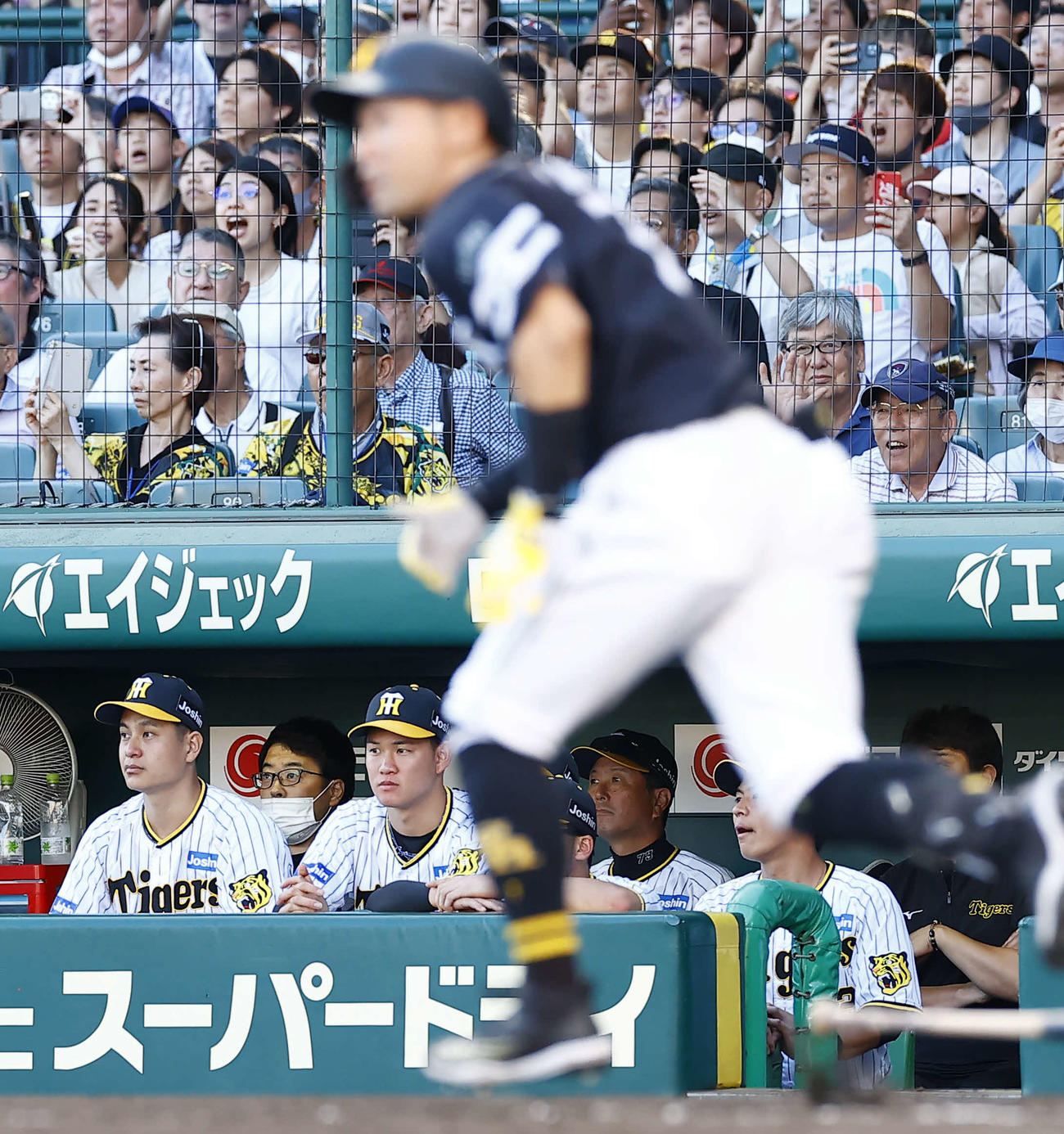 阪神対ソフトバンク　9回表ソフトバンク2死一、二塁、中村晃（手前）の逆転の左2点適時二塁打の打球をベンチから見つめる阪神大竹（左）（撮影・藤尾明華）